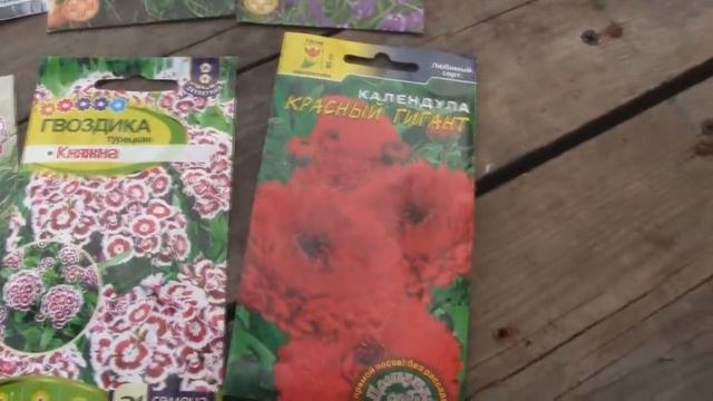 БОРЬБА С КОМАРАМИ смотреть онлайн