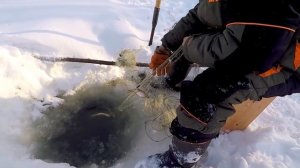 Рыбалка Сетями! Курья Оби - Проверка Сетей,  Не Плохо!