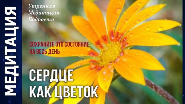 ?«Сердце как Цветок» — Утренняя Медитация ? Бодрости смотреть онлайн