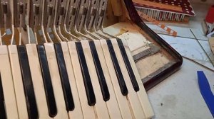 Аккордеон Weltmeister, снятие клавиатуры