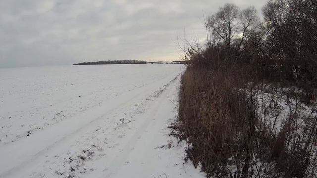Супер! первый заяц из-под моего Амура смотреть онлайн