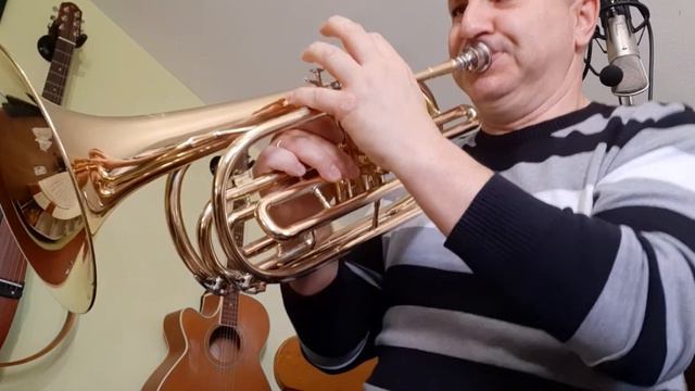 The Entertainer ... marching baritone смотреть онлайн