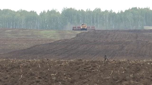На Агаповских полях появился нут смотреть онлайн