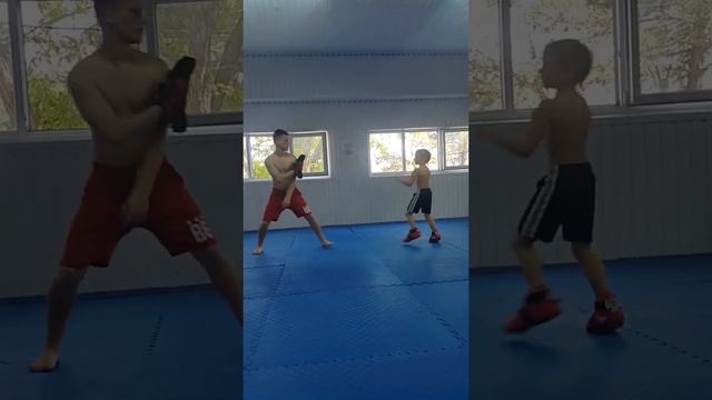 Тхэквондо Гапонов Александр тренировка лето 18 года смотреть онлайн