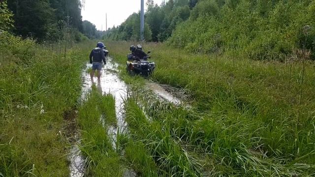 покатушки стелс гепард, стелс леопард, RM смотреть онлайн