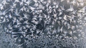 Как мороз рисует морозные узоры на стекле