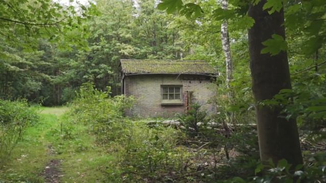 Умная система контроля Китая. Опыт для Казахстана, Узбекистана, Таджикистана, Кыргызстана смотреть онлайн