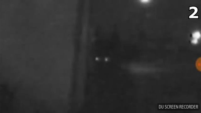 топ 3 монстра снятых на камеру смотреть онлайн