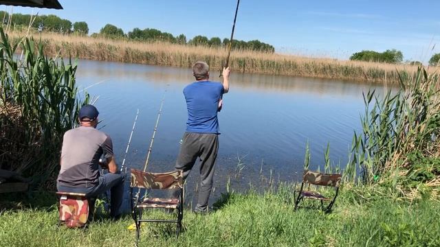 Рыбалка на Кубани. Ловля карпа ,карася . смотреть онлайн