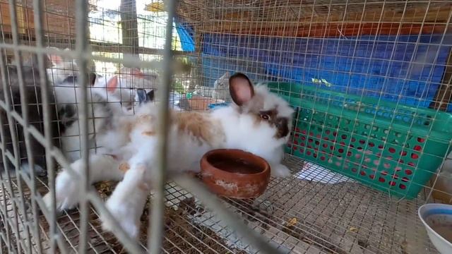 TUMBA смотреть онлайн