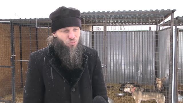«Лучшие друзья» - приют для бездомных животных. Рязань, 2018 год смотреть онлайн