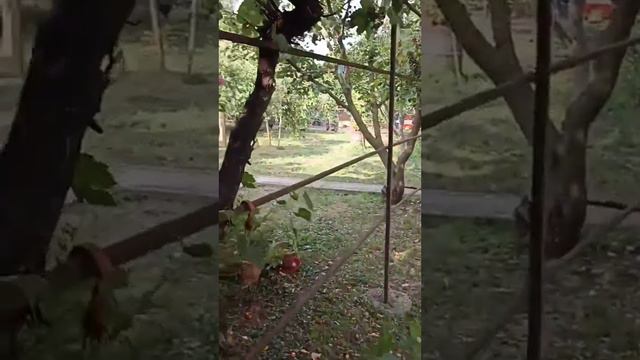 Унароково смотреть онлайн