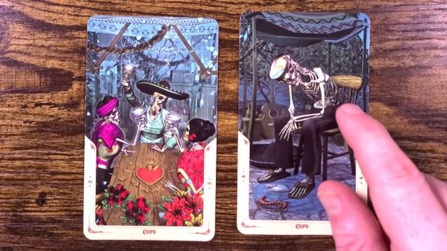 Santa Muerte Tarot Flip Through in 4K смотреть онлайн