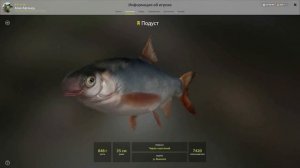 Русская рыбалка 4. Вьюнок точка на трофейного Рака.