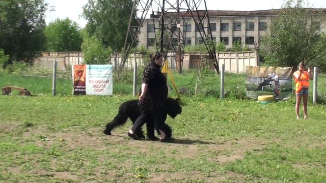 Сдача ВН в Коломне 25 мая 2013