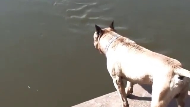 Рыж умеет считать до пяти смотреть онлайн