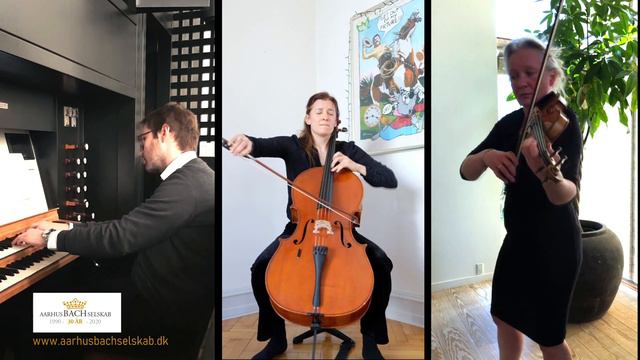J.S. Bach: "Erbarme Dich" for violin, cello and organ смотреть онлайн