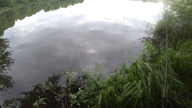 Нету карася будет окунь. смотреть онлайн