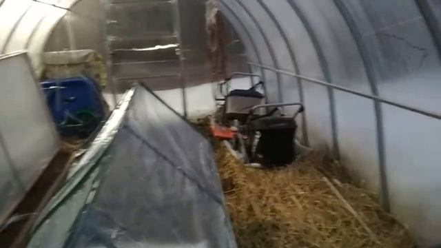 Ты им суп на мангале и сладкий пирог- они тебе полочки в теплице!!! смотреть онлайн