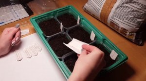 Рододендроны из семян/Посев и всходы