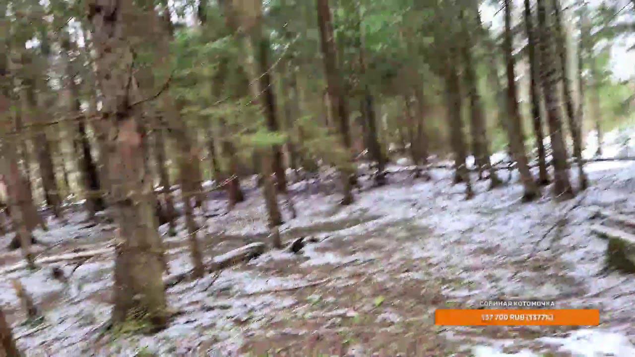 Yoll's добрый Stream из Совиного дола. Снегириное!