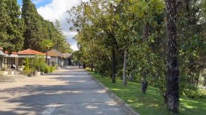 Отдых в санатории «Заполярье» Сочи