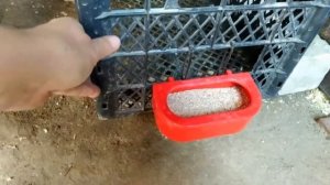 КЛЕТКА для перепелов из ОВОЩНОГО ЯЩИКА !