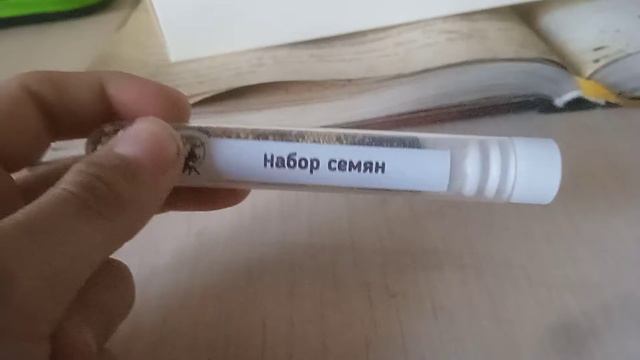 ферма Ант планет ( горный мох) #antplanet #alexboyko