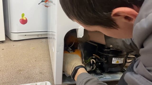 Ремонт морозильного ларя Бирюса