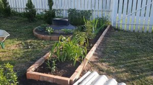 Делаю клумбы!