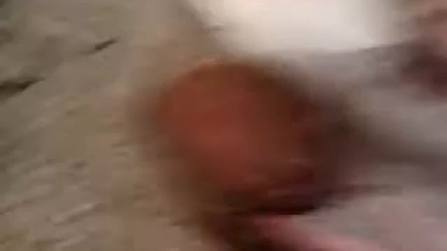 How to make a gross but edible potion смотреть онлайн