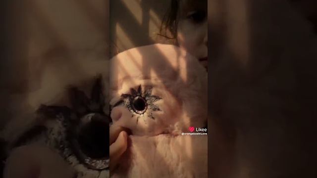 ааххахаха ору#БудиБаса #budibasa #лориколори #Likee #рекомендации