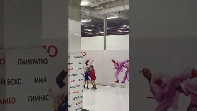 #samba #тренировка смотреть онлайн