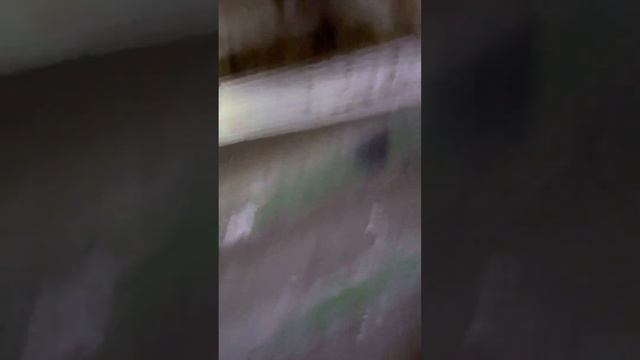 Заброшенный морг город Ковров смотреть онлайн