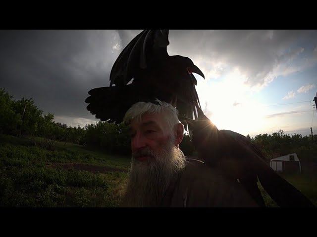 О подаянии и вознаграждении + Художественная ретроспекция. смотреть онлайн