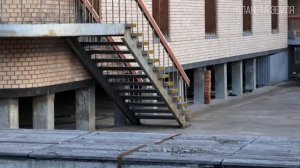 Песец: Полярный путешественник | Интересные факты про песца