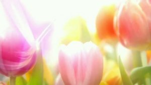 8-МАРТ БАЙРАМ ТАБРИГИ АЕЛЛАР УЧУН/8-MART BAYRAM TABRIGI AZIZ AYOLLAR UCHUN.