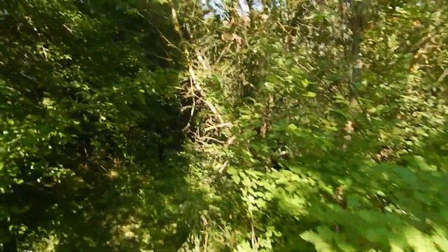 Bело экспедиция к мистической горе Бабачиха село Хитци, наден "саркофаг" смотреть онлайн