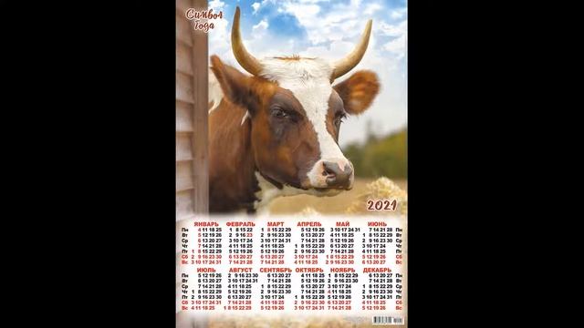 КАКАЯ РАЗНИЦА, КОГДА НОВЫЙ ГОД ?