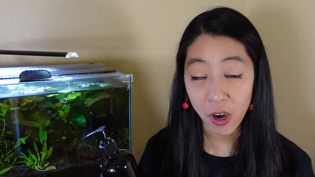 Should YOU Be Using Liquid Carbon in Your Aquarium? смотреть онлайн