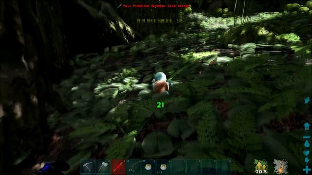 SQUIRTLE, WARTORTLE, & BLASTOISE! - ROAD TO 151 POKEMON - ARKMON (Ark Modded Gameplay) смотреть онлайн