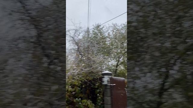 В Нижнем Новгороде снег?!?❄️ А у вас в городе? Пиши в комментариях? смотреть онлайн