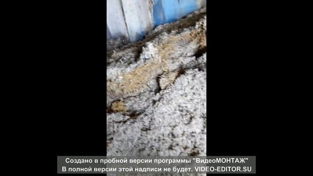 свекольный жом хранение смотреть онлайн