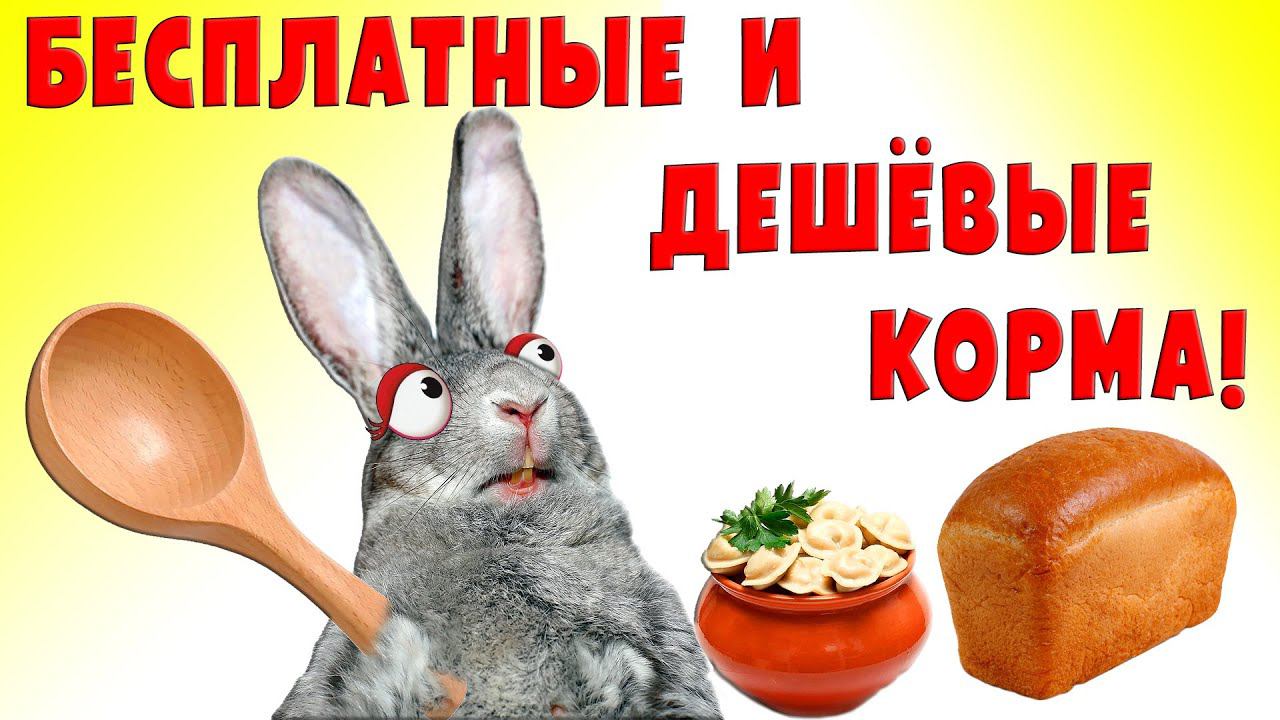Бесплатные и дешевые корма для животных смотреть онлайн