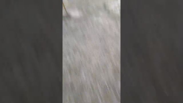 Борисов ул.чаловская площадка смотреть онлайн