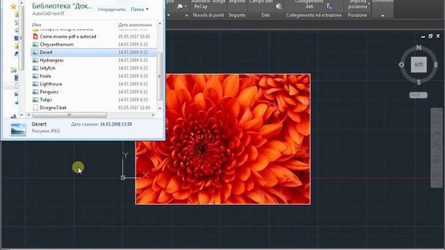 Come inserire un'immagine in autocad 3 смотреть онлайн