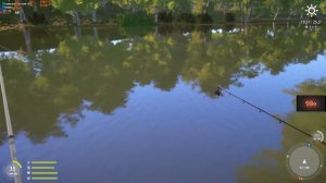 рр4. северский Донец шемая