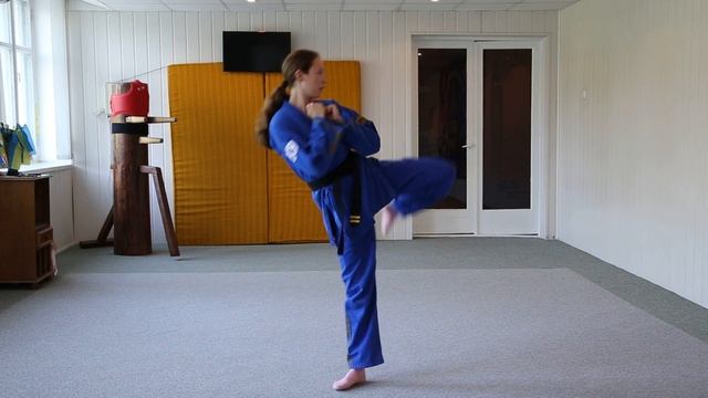 Тест: удары ногами смотреть онлайн