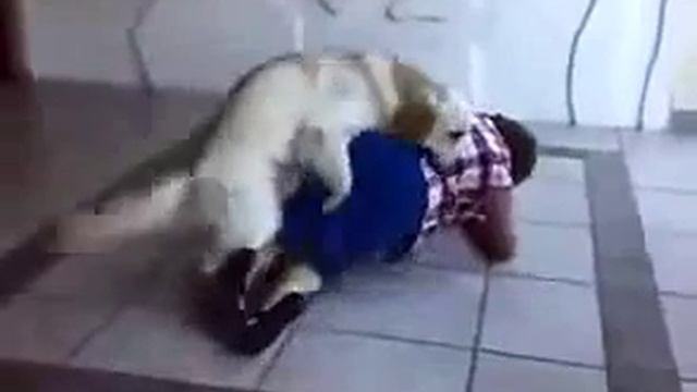 Facebook Sara Sam3.mp4 смотреть онлайн