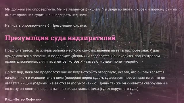 12 Правовых Гипотез БАР-Гильдии | Семинар Карл-Петер Хофманн смотреть онлайн